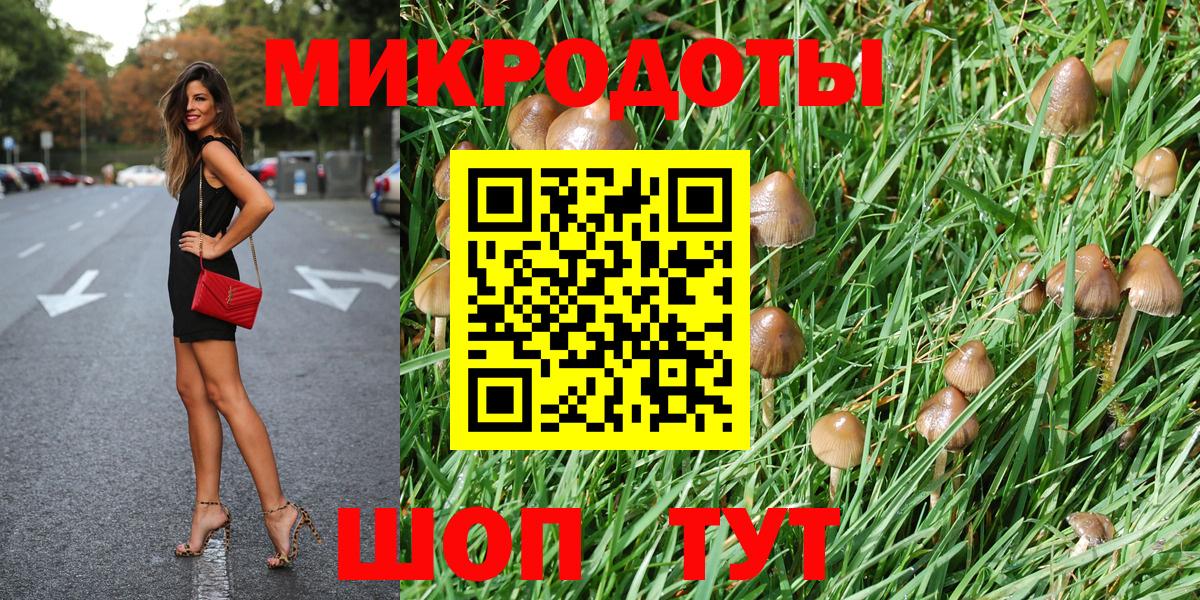 Псилоцибиновые грибы Psilocybe  Вход с VPN  Новоуральск 