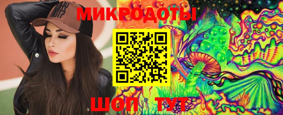 Псилоцибиновые грибы Cubensis Новоуральск
